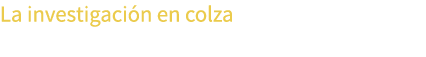 La investigaci n en colza