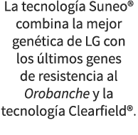 La tecnolog a Suneo® combina la mejor gen tica de LG con los ltimos genes de resistencia al Orobanche y la tecnolog ...