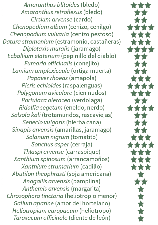 Amaranthus blitoides (bledo),aaa,Amaranthus retroflexus (bledo),aa,Cirsium arvense (cardo),aa,Chenopodium album (ceni...