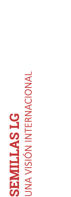 SEMILLAS LG UNA VISI N INTERNACIONAL