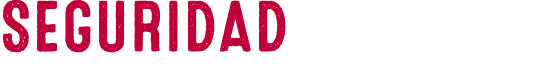 segurIDAD