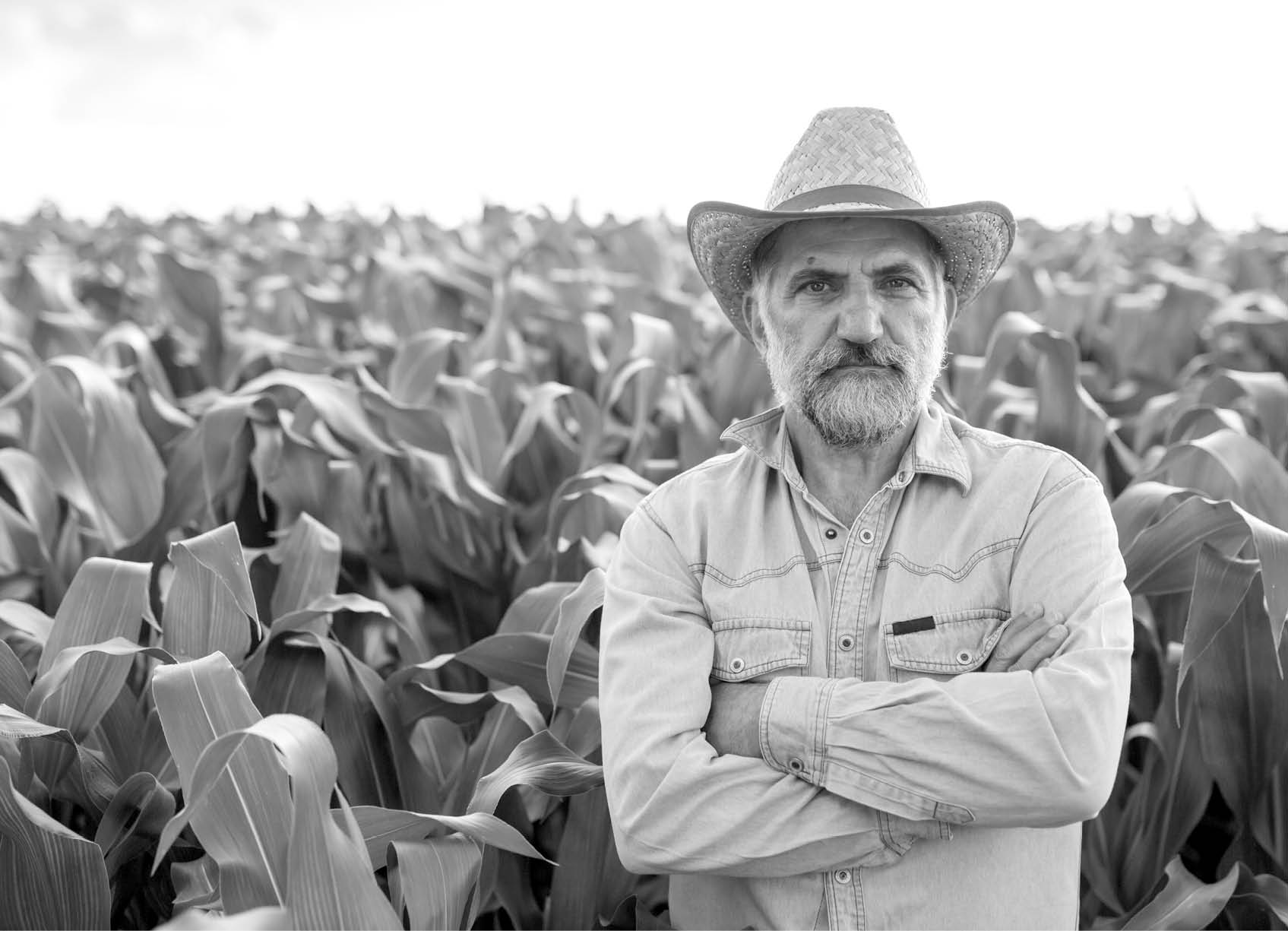 middle aged man standing crossed arms in corn field