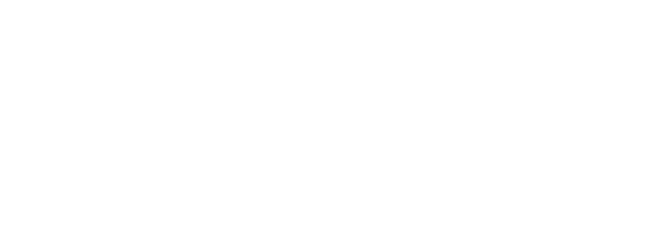 LG 31.219