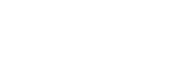 LG 31.479 (N)