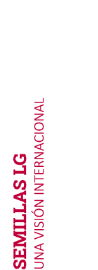SEMILLAS LG UNA VISI N INTERNACIONAL