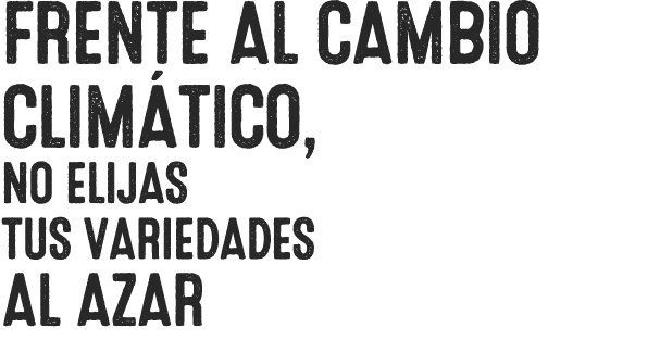 FRENTE AL CAMBIO CLIM TICO, NO ELIJAS TUS VARIEDADES AL AZAR