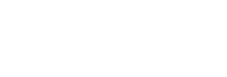 SEGURIDAD