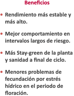 Beneficios • Rendimiento m s estable y m s alto. • Mejor comportamiento en intervalos largos de riesgo. • M s Stay gr...