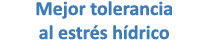 Mejor tolerancia al estr s h drico