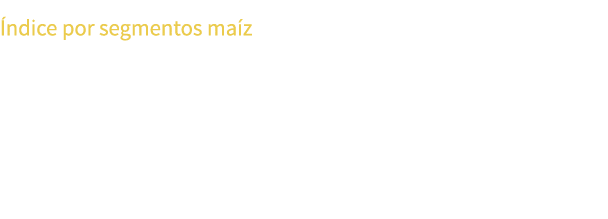  ndice por segmentos ma z