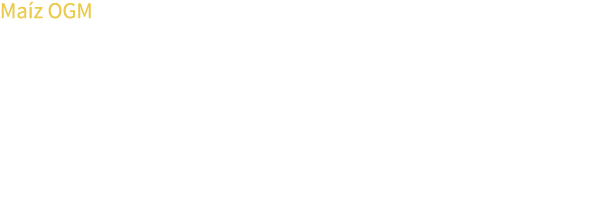 Ma z OGM