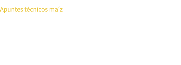 Apuntes t cnicos ma z