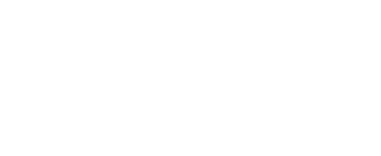“Nuestro objetivo es proporcionar un flujo regular de productos excelentes para alimentar el cat logo comercial de Li...