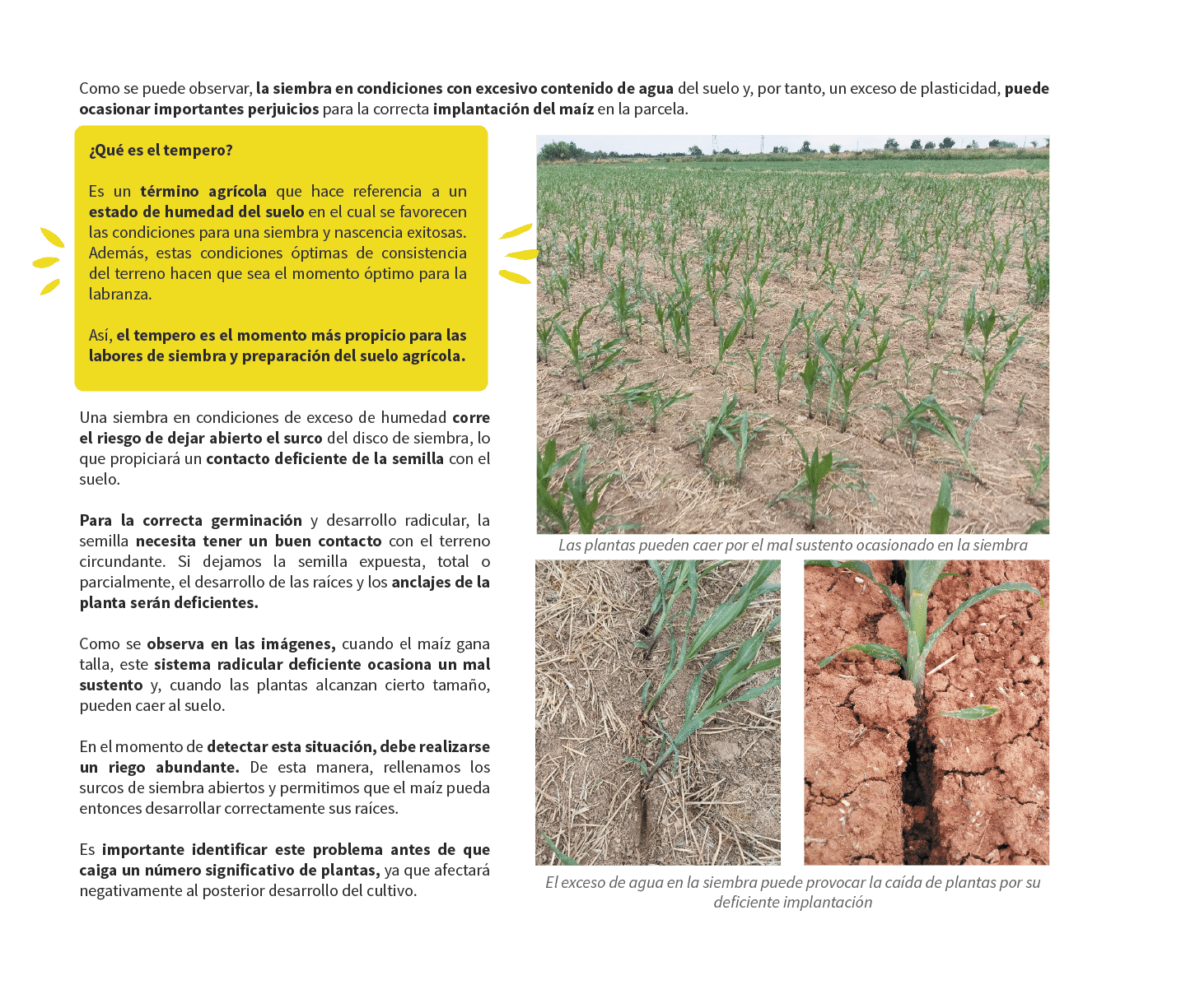 La informaci n precisa y til para agricultores que buscan el m ximo en su explotaci n
