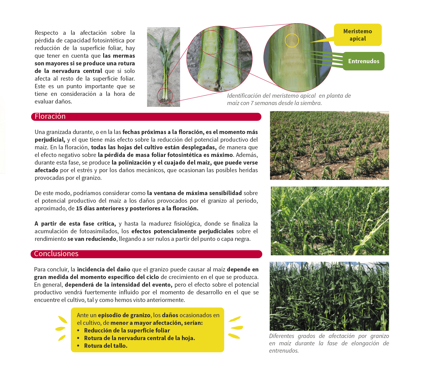 La informaci n precisa y til para agricultores que buscan el m ximo en su explotaci n