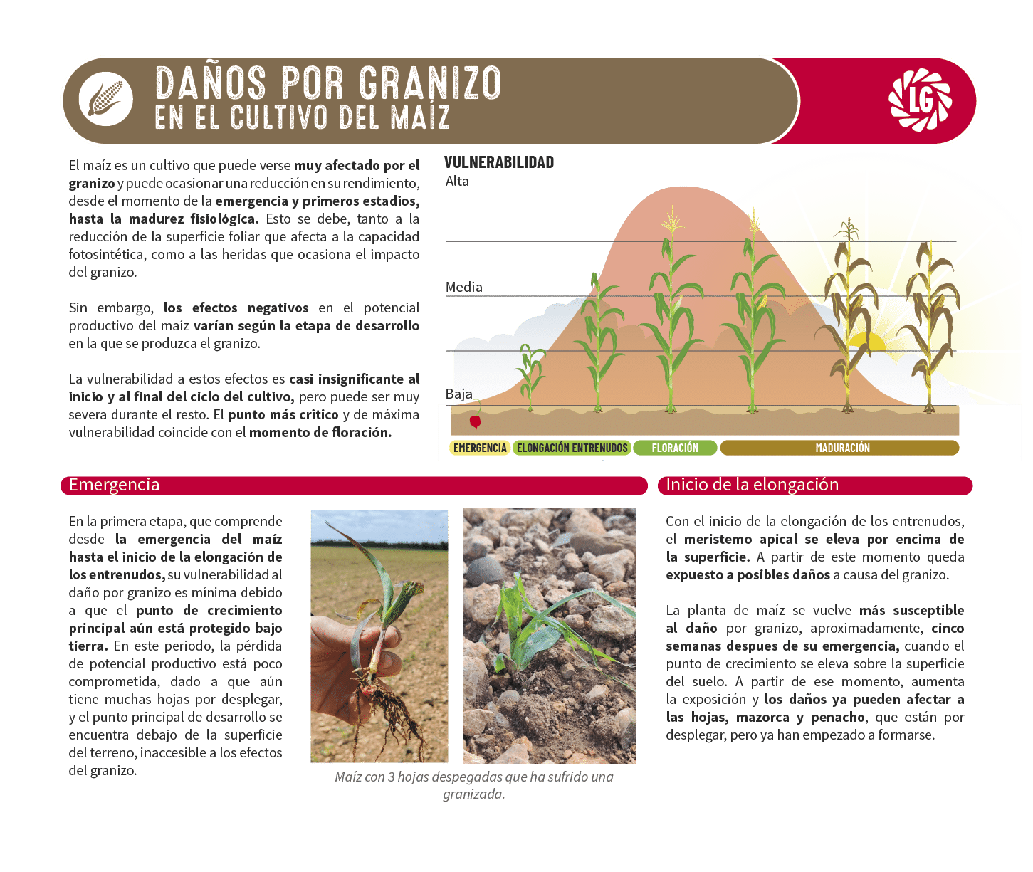 La informaci n precisa y til para agricultores que buscan el m ximo en su explotaci n