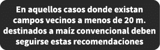 En aquellos casos donde existan campos vecinos a menos de 20 m. destinados a ma z convencional deben seguirse estas r...