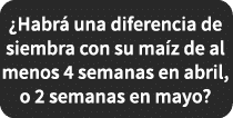 ¿Habr una diferencia de siembra con su ma z de al menos 4 semanas en abril, o 2 semanas en mayo?