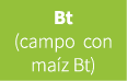 Bt (campo con ma z Bt)