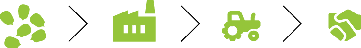 Rectangle