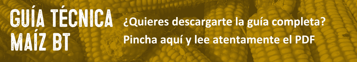 Descargate la Guía técnica de buenas prácticas para el cultivo de Maíz Bt