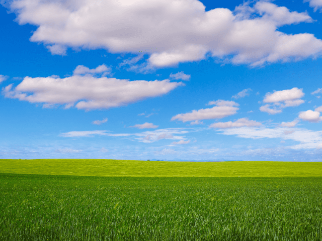 Optimismo en la siembra de cultivos de primavera en Castilla y León