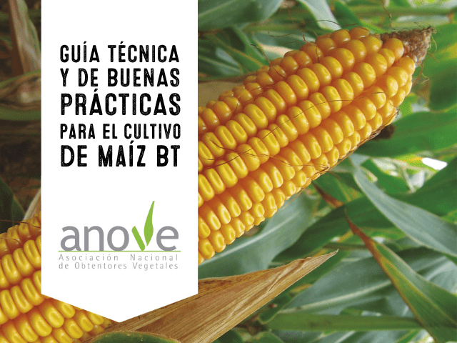 Nueva guía de MAÍZ BT de ANOVE