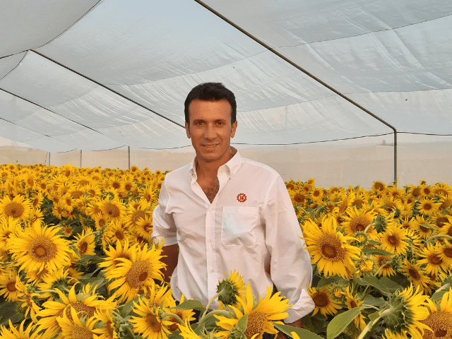 Entrevista a Miguel Ángel Sevillano, Responsable de Producción Agronómica