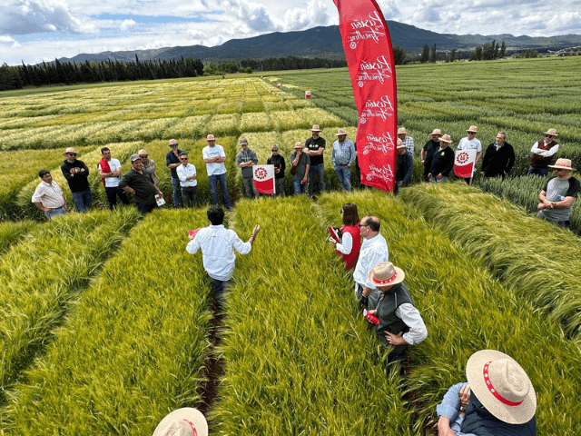 Jornadas de campo LG: Vive la agricultura en los meses de mayo y junio