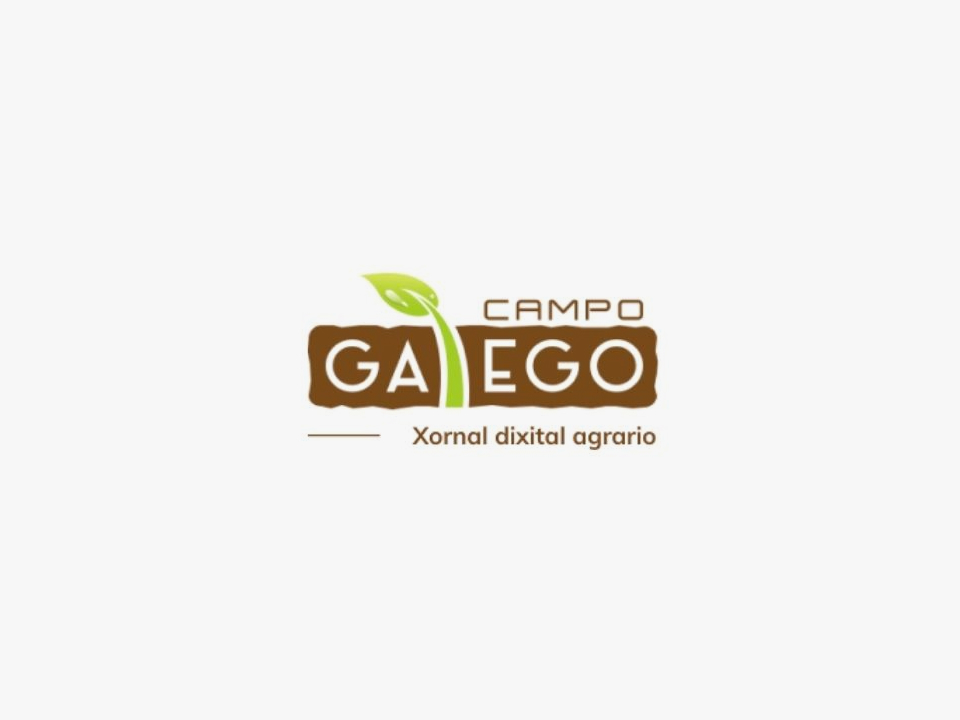 LG, semillas de maíz que responden a las necesidades de los ganaderos – CAMPO GALEGO