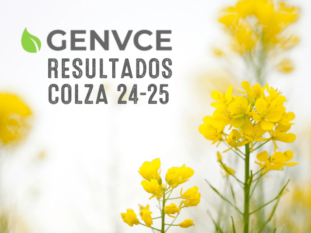 Colza LG, la genética que marca la diferencia, año tras año