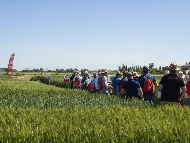 Jornadas de campo de Semillas LG: cultivar conocimiento, compartir experiencias