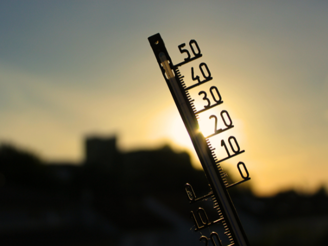Ola de calor histórica en junio de 2026: impacto directo en los cultivos extensivos