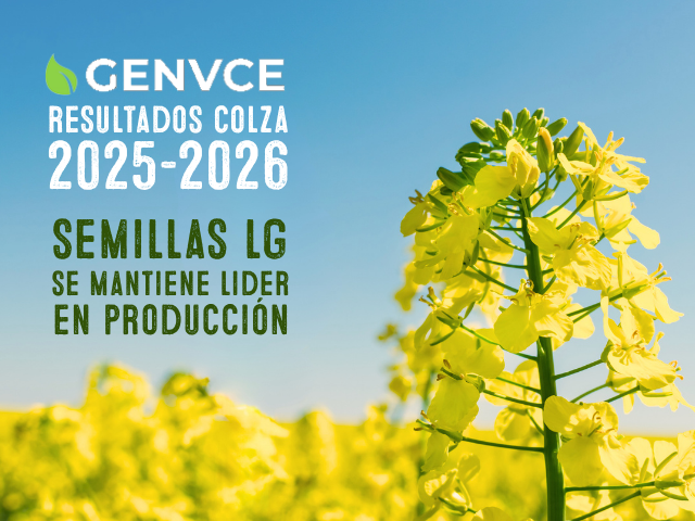 Resultados GENVCE 2025-2026: la genética LG vuelve a liderar las referencias del cultivo de colza en España