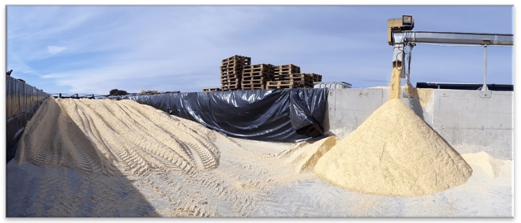 Proceso y almacenado de grano húmedo en trinchera