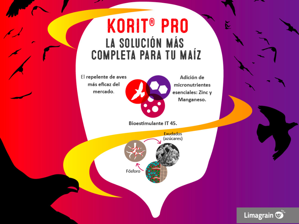 Korit® Pro – La solución más completa para tu maíz