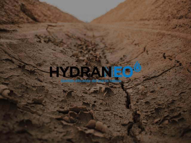 Hydraneo, la tecnología de LG Seeds que protege tu maíz contra la sequía