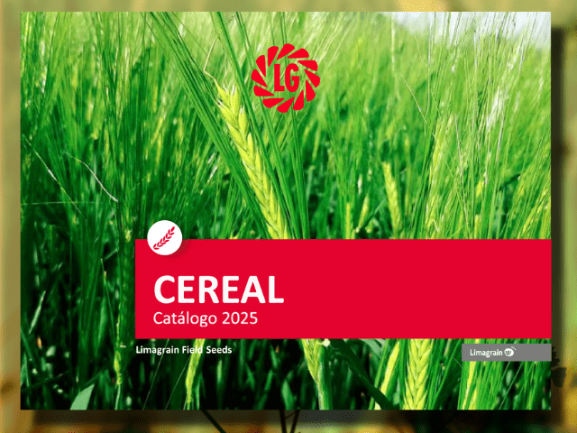 Nuevo catálogo de cereal 2025 de Semillas LG