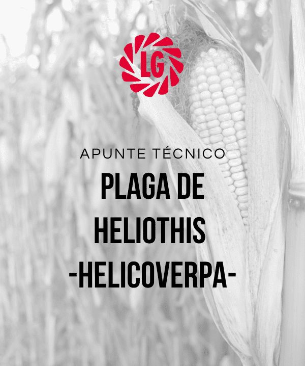 Apunte Técnico sobre la Heliothis