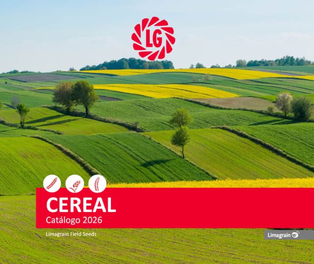 Cereal