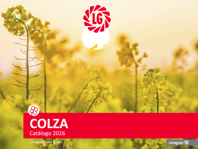 Colza