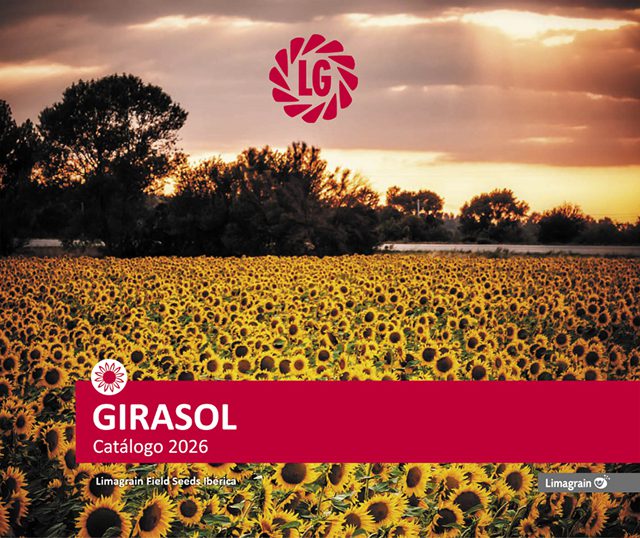 Girasol