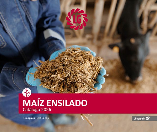 Maíz Ensilado